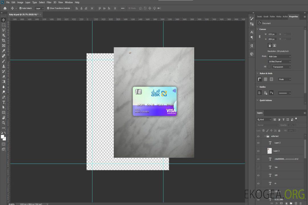 Egypte Al Ahli Bank of Koweït signature de visa photolook avant template Egypte Al Ahli Bank of Koweït signature de visa photolook avant template